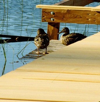 крепеж из нержавеющей стали используют в условиях повышенной влажности фото деревянной пристани