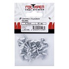 Саморез с прессшайбой, RAL 9003 (белый), 4,2x16 подвес 35 шт